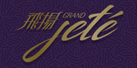 飛揚 2期 logo
